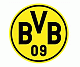 Benutzerbild von bvbfan