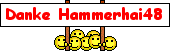 Hammerhai48